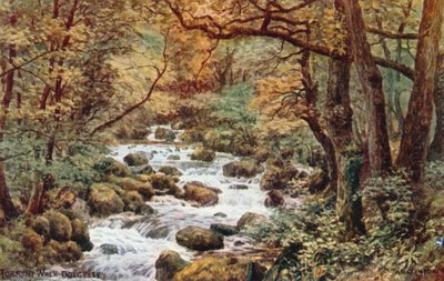 Torrent Walk, Dolgelley von Alfred Robert Quinton